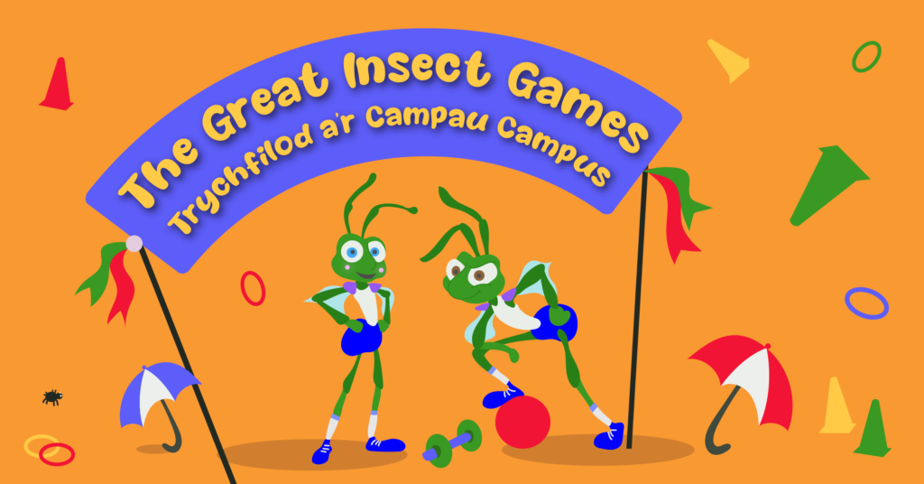 Flex your muscles and practise your lunges, it's time for the Great Insect Games! Hosted by our gym junkie grasshoppers you can take part in the hare brained events.